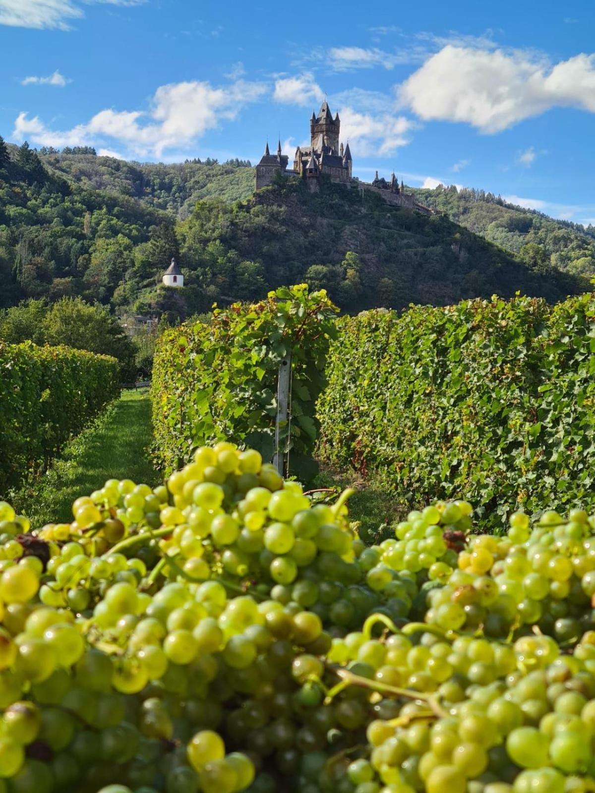 Weingut Gaestehaus Bach Cochem Dış mekan fotoğraf
